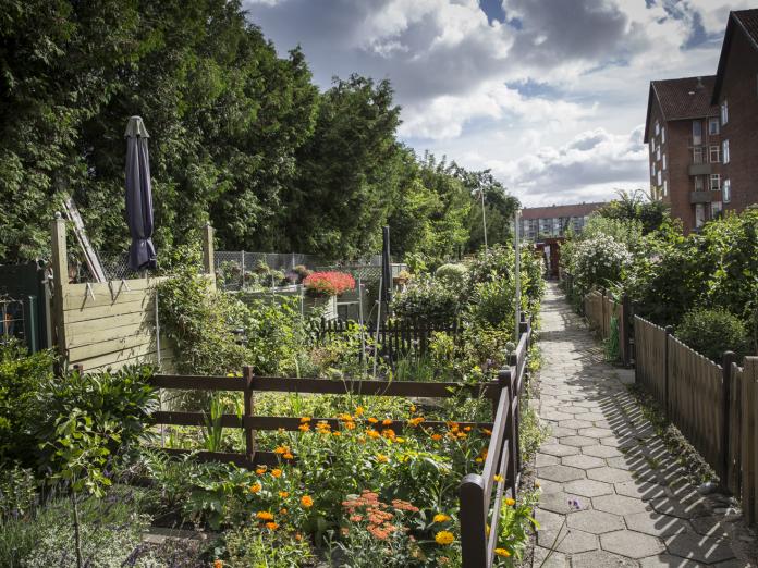 Bavnehøjkvarteret
